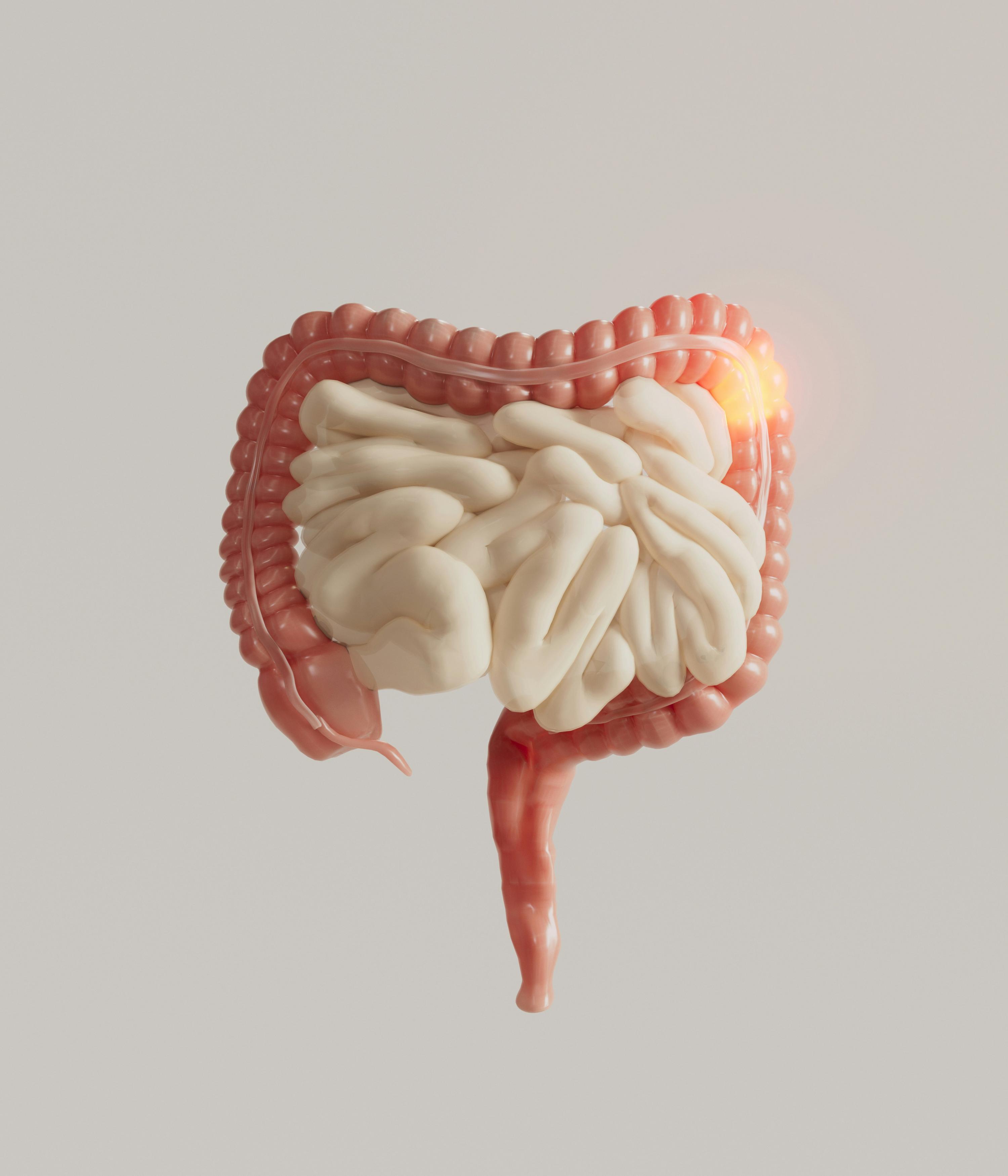 Illustration showing the gut-brain axis and microbiome